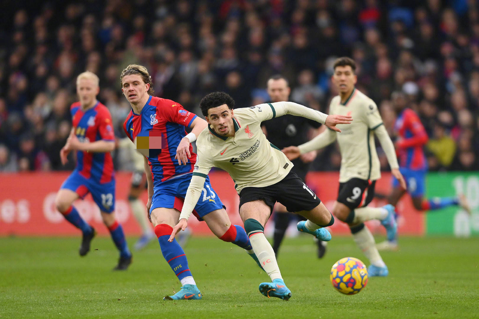 生较大金额 生较大金额